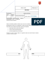 Etapa 13. Biologia 1er Año