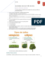 Biologia de 1ro 3ERA ETAPA (Autoguardado)