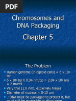 Chromosomes and DNA Packaging - Lecture