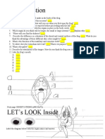 Frog Lab Questions and Diagrams 2021