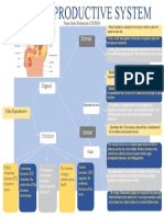 Mind Map Male Reproductive System