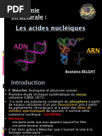 Les Acides Nucléiques - SVI-S3