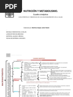 Actividad 9 Nutrición