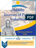 Pidilite Case Study