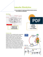 Entamoeba Histolytica