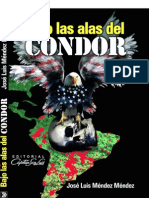 Bajo Las Alas Del Condor