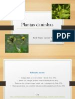 Aula - Noções Sobre Plantas Daninhas