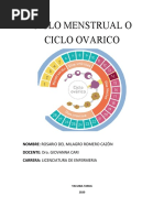 Ciclo Ovarico o Menstrual