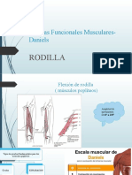 Pruebas Funcionales Musculares - Daniels RODILLA - ANALISIS