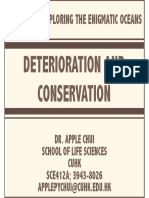 L11 Deterioration and Conservation