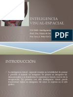 Presentacion de Inteligencia Visual-Espacial