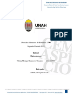 Ensayo La Relación Del Poder y Los Derechos Humanos