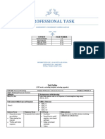 Professional Task - 2b - Assessment 1