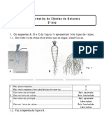 Ficha Form-Planta