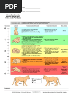 Your Clinic Name Here: Feline Acute Pain Scale Canine Acute Pain Scale