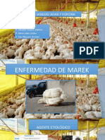 Enfermedad de Marek