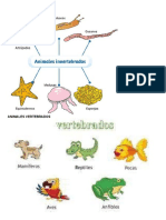 Animales Invertebrados