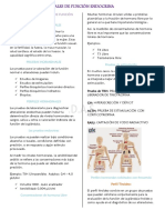 11 - Pruebas Laboratoriales de Función Endocrina