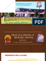 Biofilm Dental, Cálculo Dental y Otros Factores Dentales 9