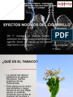 Efectos Del Tabaco