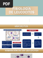 Fisiologia de Leucocito