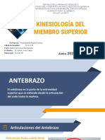 Kinesiología Del Miembro Superior