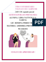 Examen de Asesoria