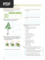 Practica Nutricion de Las Plantas - 1ro