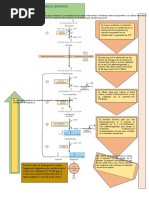 Oxidacion de Ácidos Grasos