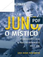 Jung O Mistico