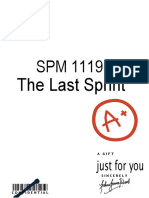 SPM Last Sprint Notes - Low Res