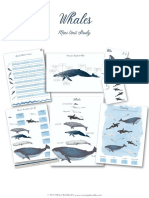 Whales: Mini Unit Study