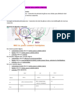 PROCESSOS BIOLÓGICOS Aulas N2