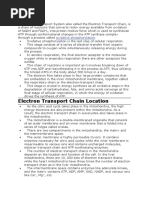 The Electron Transport System Also Called The Electron Transport Chain