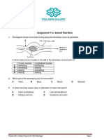 Animal Nutrition PDF