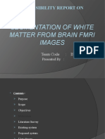 Segmentation of White Matter From Brain Fmri Images: Feasibility Report On