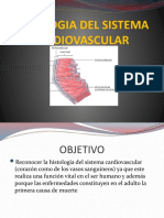 Sistema Cardiovascular