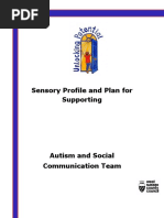 Sensory Profile and Plan For Supporting