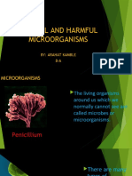 Helpful and Harmful Microorganisms (Autosaved)