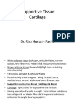 (Supportive Tissue) - (DVM 1st Semester) - (Morning) - (A Section)