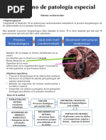 Cuaderno de Patología Especial