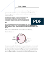 Sense Organs: Structure of Human Eye