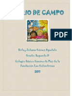 Diario de Campo