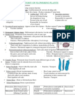 Anatomy of Plants