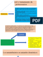 Control y Tratamiento de Protozoarios