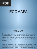 Ecomapa