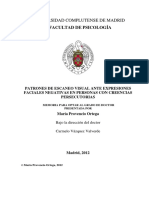 Patrones de Escaneo Visual Ante Expresiones Faciales Negativas en Personas Con Creencias Persecutorias