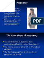 Pregnancy