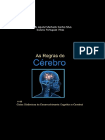 As Regras Do Cérebro e Os Ciclos Dinâmicos de Desenvolvimento Cognitivo e Cérebral