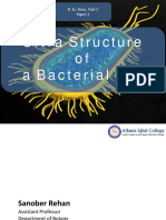 Ultrastructure of A Bacterial Cell